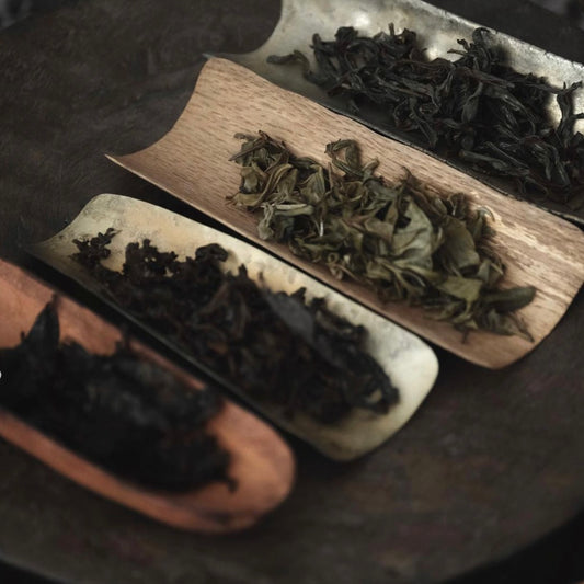 MAR 16 | Tea and Ceramics at DISH Gallery